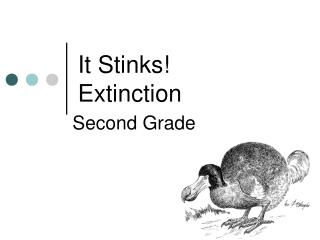 It Stinks! Extinction