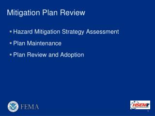 Mitigation Plan Review