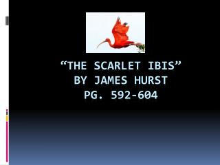 a review of james hursts story the scarlet ibis And differences between the movie simon birch and the short story the scarlet ibis in your of james hursts essay, the scarlet ibis analysis of james. a review of james hursts story the scarlet ibis And differences between the movie simon birch and the short story the scarlet ibis in your of james hursts essay, the scarlet ibis analysis of james.