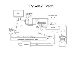 The Whole System
