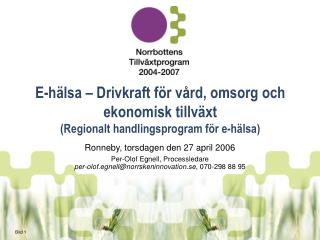 E-hälsa – Drivkraft för vård, omsorg och ekonomisk tillväxt (Regionalt handlingsprogram för e-hälsa)