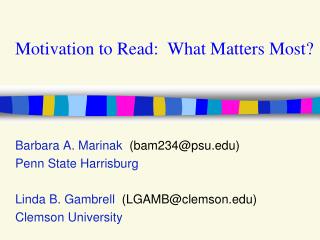 Motivation to Read: What Matters Most?