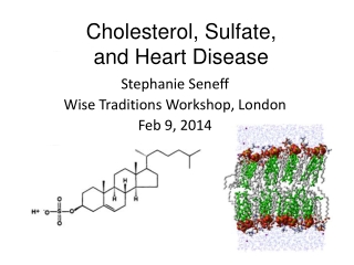 Cholesterol, Sulfate, and Heart Disease