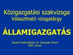 Diasort hat lyos totta: Dr. Gyergy k Ferenc 2007. j nius