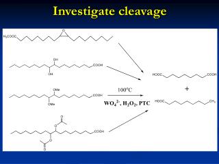 Investigate cleavage