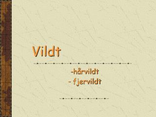 Vildt