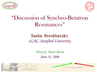 “Discussion of Synchro-Betatron Resonances”
