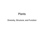 Plants