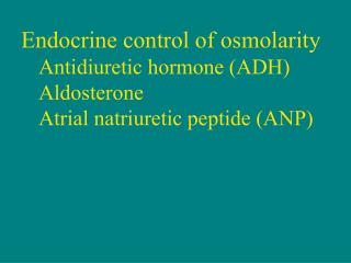 Endocrine control of osmolarity Antidiuretic hormone (ADH) Aldosterone Atrial natriuretic peptide (ANP)