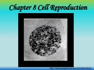 Chapter 8 Cell Reproduction