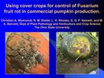 Using cover crops for control of Fusarium fruit rot in commercial pumpkin production. Christian A. Wyenandt, R. M. Ried