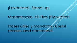 ¡Levántate!- Stand up! Matamoscas - Kill Flies (Flyswatter)