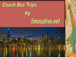 Coach Bus Trips