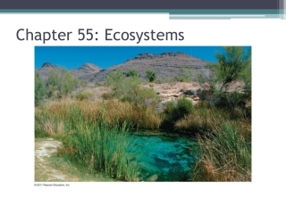 Chapter 55: Ecosystems