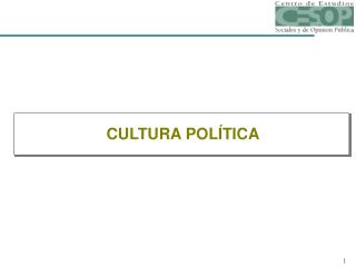 CULTURA POLÍTICA