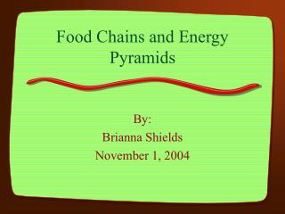 Food Chains and Energy Pyramids