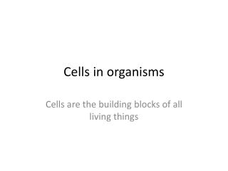 are all living organisms made up of cells