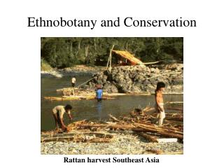 Ethnobotany and Conservation