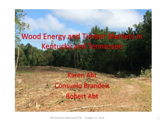 Wood Energy and Timber Markets in Kentucky and Tennessee