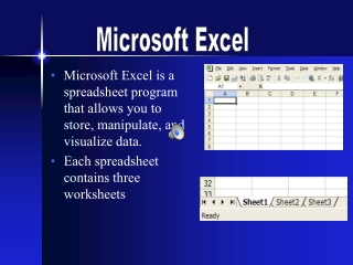 Microsoft Excel is a spreadsheet program that allows you to store, manipulate, and visualize data.