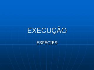 EXECUÇÃO