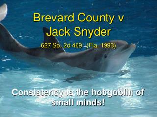 Brevard County v Jack Snyder 627 So. 2d 469 (Fla. 1993)