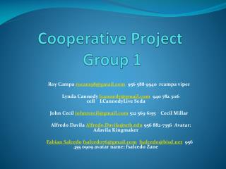 Cooperative Project Group 1