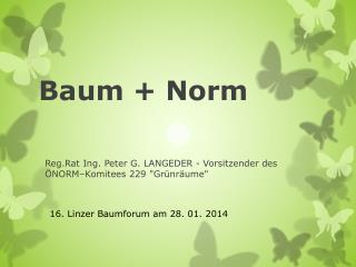 Baum + Norm