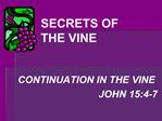SECRETS OF THE VINE