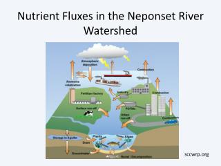 Nutrient Fluxes in the Neponset River Watershed