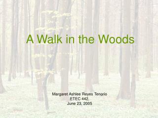 A Walk in the Woods
