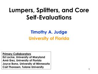 Lumpers, Splitters, and Core Self-Evaluations