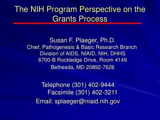 The NIH Program Perspective on the Grants Process