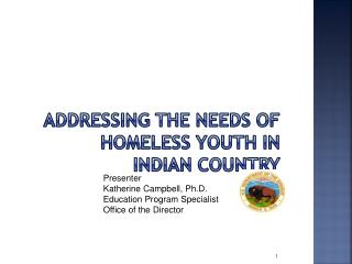 ADDRESSING THE NEEDS OF HOMELESS YOUTH IN INDIAN COUNTRY