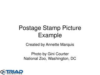 Postage Stamp Picture Example
