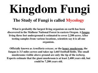 Kingdom Fungi