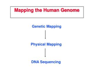 when was human genome mapped