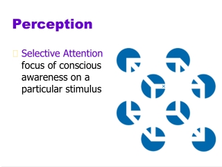 Perception