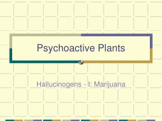 Psychoactive Plants