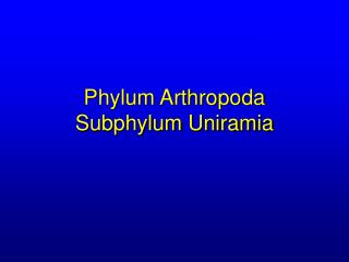 Phylum Arthropoda Subphylum Uniramia