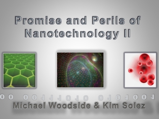 Promise and Perils of Nanotechnology II