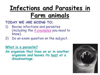 Infections and Parasites in Farm animals