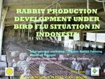 RABBIT PRODUCTION DEVELOPMENT UNDER BIRD FLU SITUATION IN INDONESIA