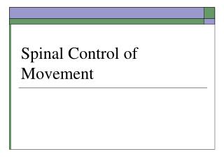 Spinal Control of Movement