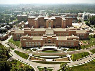 Discovering the Origin of Syrinx Fluid