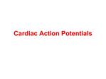 Cardiac Action Potentials