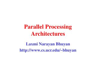 Parallel Processing Architectures