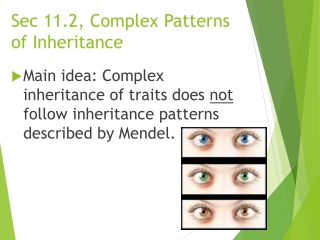 Sec 11.2, Complex Patterns of Inheritance
