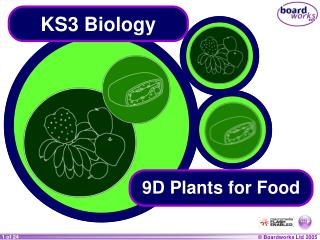 PPT - KS3 Biology PowerPoint Presentation - ID:6664156