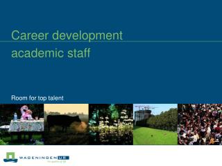 Career development academic staff